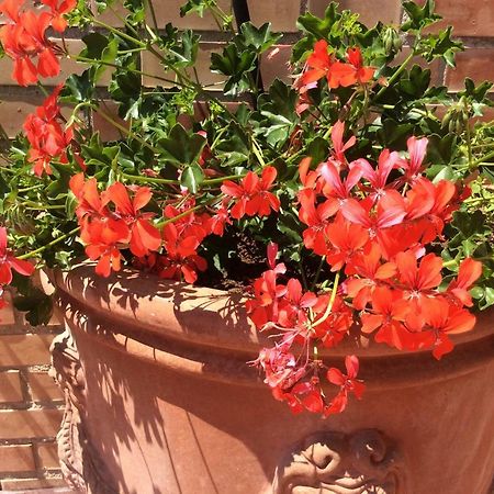 San Romano  Casa La Gemmaヴィラ エクステリア 写真