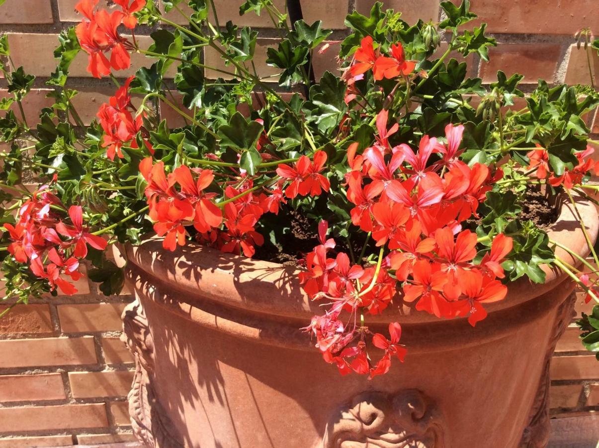 San Romano  Casa La Gemmaヴィラ エクステリア 写真